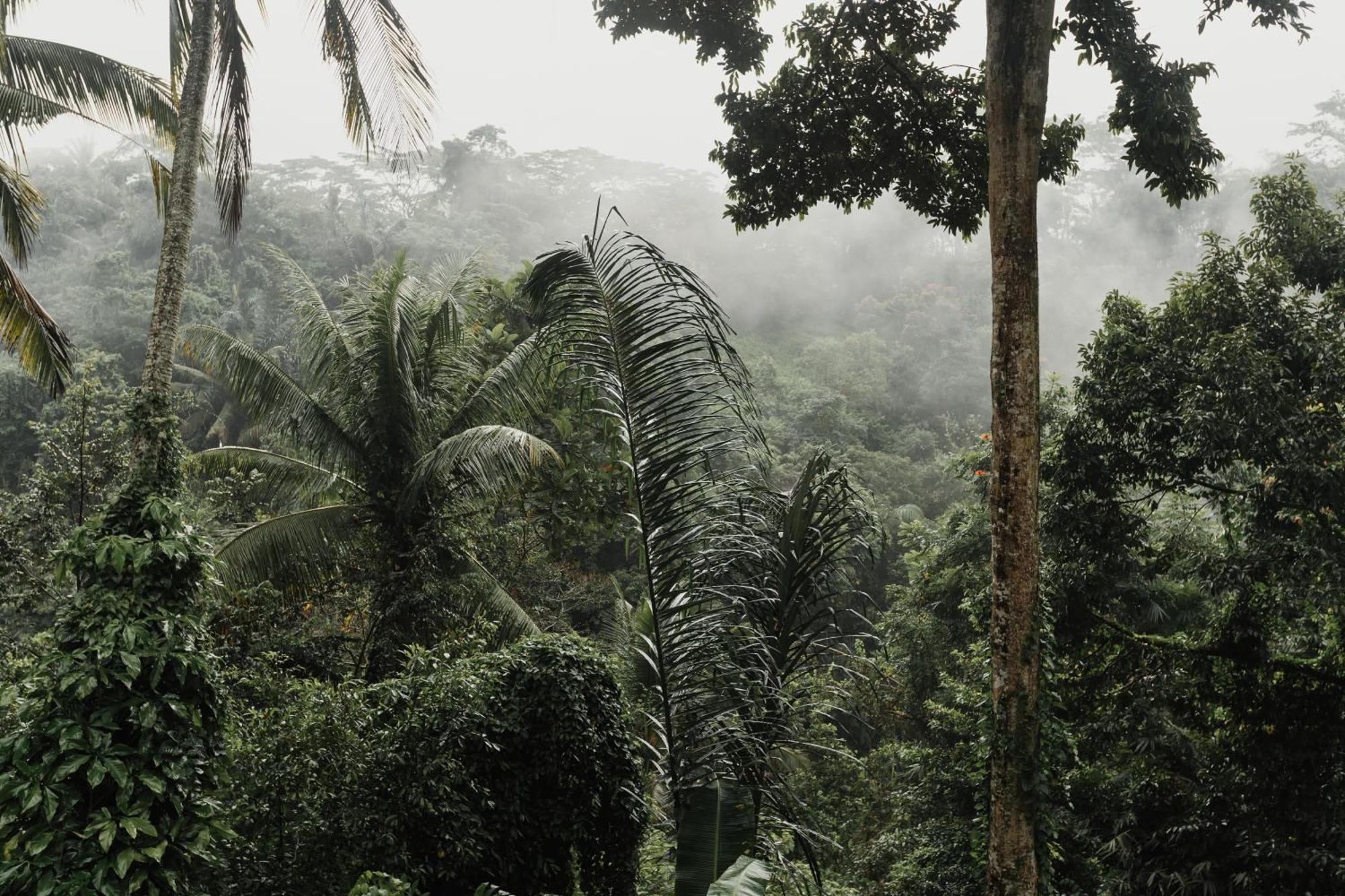 The Iyang Ubud Eksteriør billede